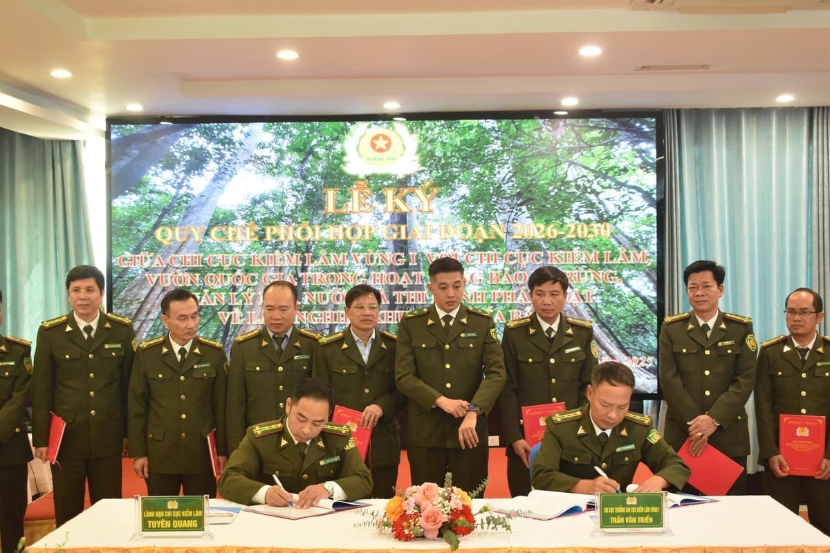 Τελετή υπογραφής της συμφωνίας συνεργασίας με το Περιφερειακό Τμήμα Δασών Ι και τα τοπικά Τμήματα Δασών. Φωτογραφία: Dinh Muoi. Lễ ký quy chế phối hợp với Chi cục Kiểm lâm vùng I và Chi cục Kiểm lâm địa phương. Ảnh: Đinh Mười.