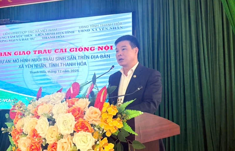 ইয়েন নান কমিউনের দরিদ্র এবং প্রায় দরিদ্র পরিবারগুলিতে প্রজননকারী মহিষ হস্তান্তর করা হচ্ছে।