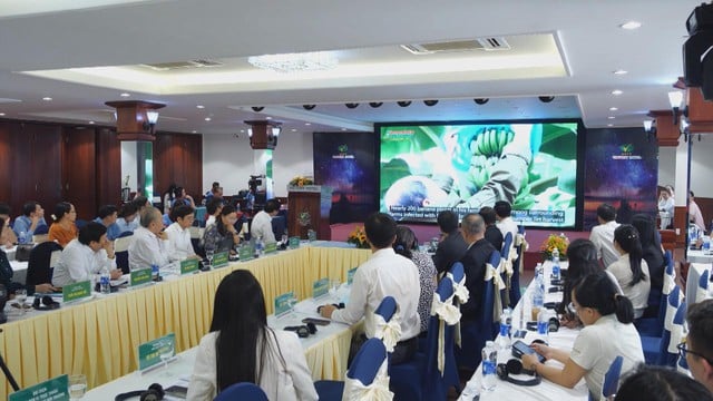 Khắc phục bệnh héo vàng, chuối Việt nỗ lực xuất khẩu chạm mốc 1 tỷ USD - Ảnh 2.