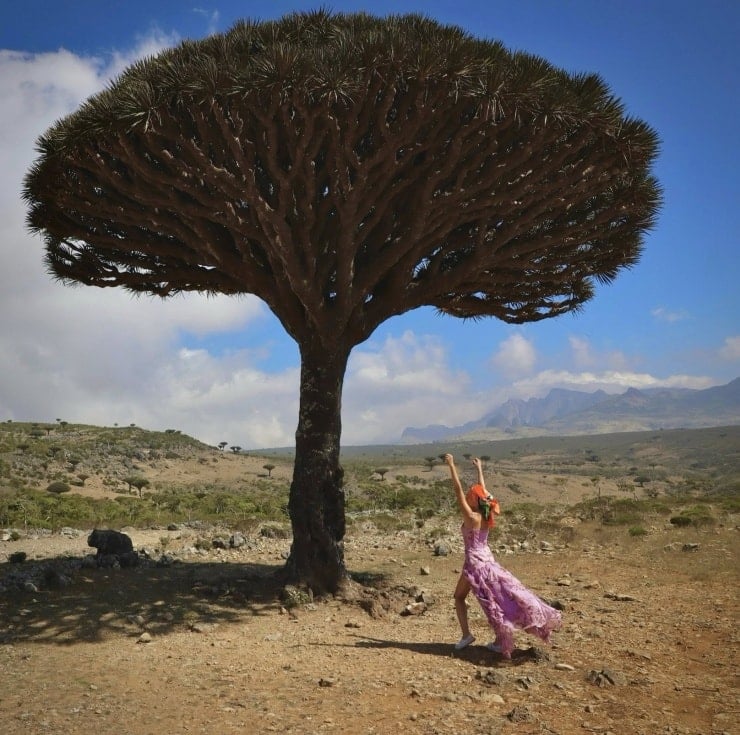 អ្នកស្រី ធុយ អាញ ឈរនៅពីមុខដើមឈើឈាមនាគដែលមានកម្ពស់ 12 ម៉ែត្រ ដែលត្រូវបានចាត់ទុកថាខ្ពស់ជាងគេនៅលើកោះសូកូត្រា។