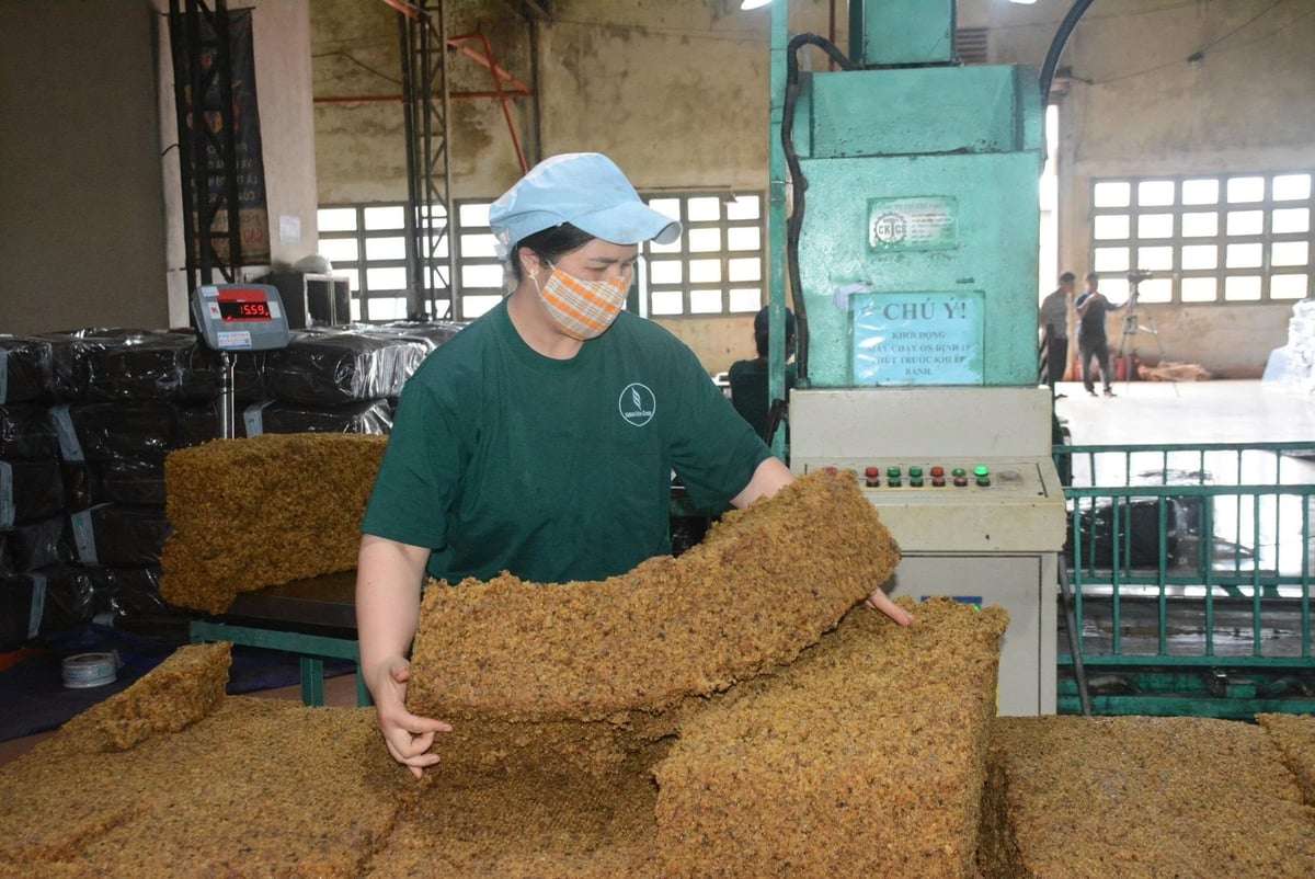 Apesar de enfrentar inúmeras dificuldades, graças à liderança decisiva da gestão da empresa e à ética de trabalho entusiástica de todos os funcionários, a empresa concluiu com sucesso suas tarefas e terminou antes do prazo previsto. Foto: V.V. Dù gặp không ít khó khăn, nhưng nhờ sự quyết liệt chỉ đạo của ban lãnh đạo Công ty và không khí hăng say lao động của toàn thể người lao động, đã giúp Coog ty hoàn thành xuất sắc nhiệm vụ, về đích sớm. Ảnh: V.V.