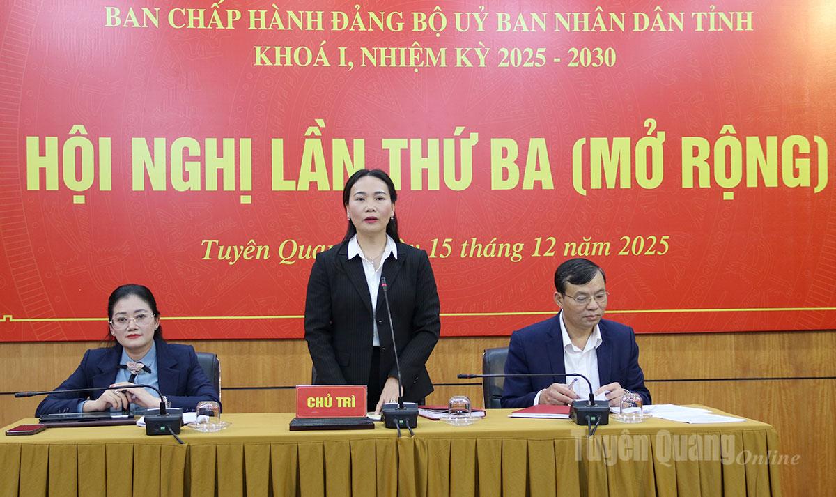 Diskusní schůzi na konferenci předsedal soudruh Nong Thi Bich Hue, člen stálého výboru provinčního stranického výboru a stálý zástupce tajemníka stranického výboru provinčního lidového výboru.