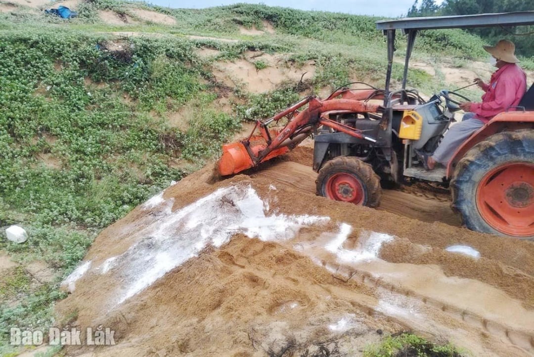 អរគុណចំពោះការគ្រប់គ្រងការផ្ទុះឡើងនៃជំងឺនេះបានទាន់ពេលវេលា សង្កាត់ហ័រហៀបបច្ចុប្បន្នលែងមានជំងឺគ្រុនផ្តាសាយជ្រូកអាហ្វ្រិកទៀតហើយ។