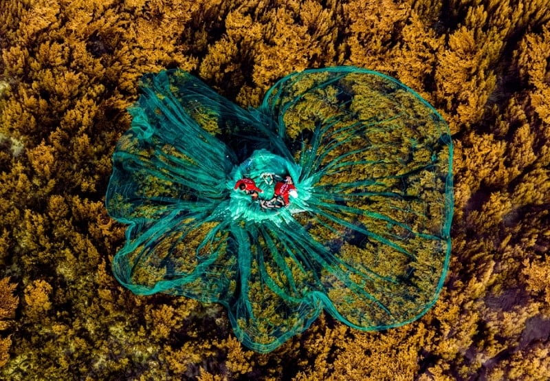 ឆ្នេរគីញ៉ុង