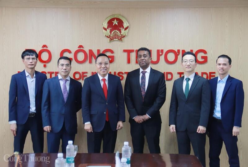 Náměstek ministra průmyslu a obchodu Nguyen Hoang Long se zástupci agentury IRENA. Foto: Thanh Tuan.