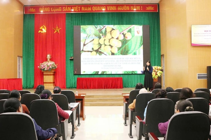 Phường Xuân Đỉnh xây dựng chuỗi giá trị, nhận diện chất lượng nông sản an toàn- Ảnh 1.