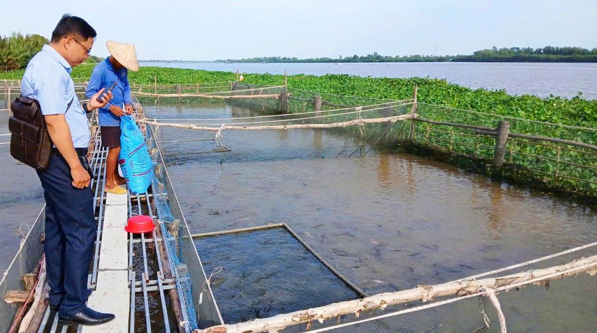 Verhoog uw inkomen door middel van aquacultuur.