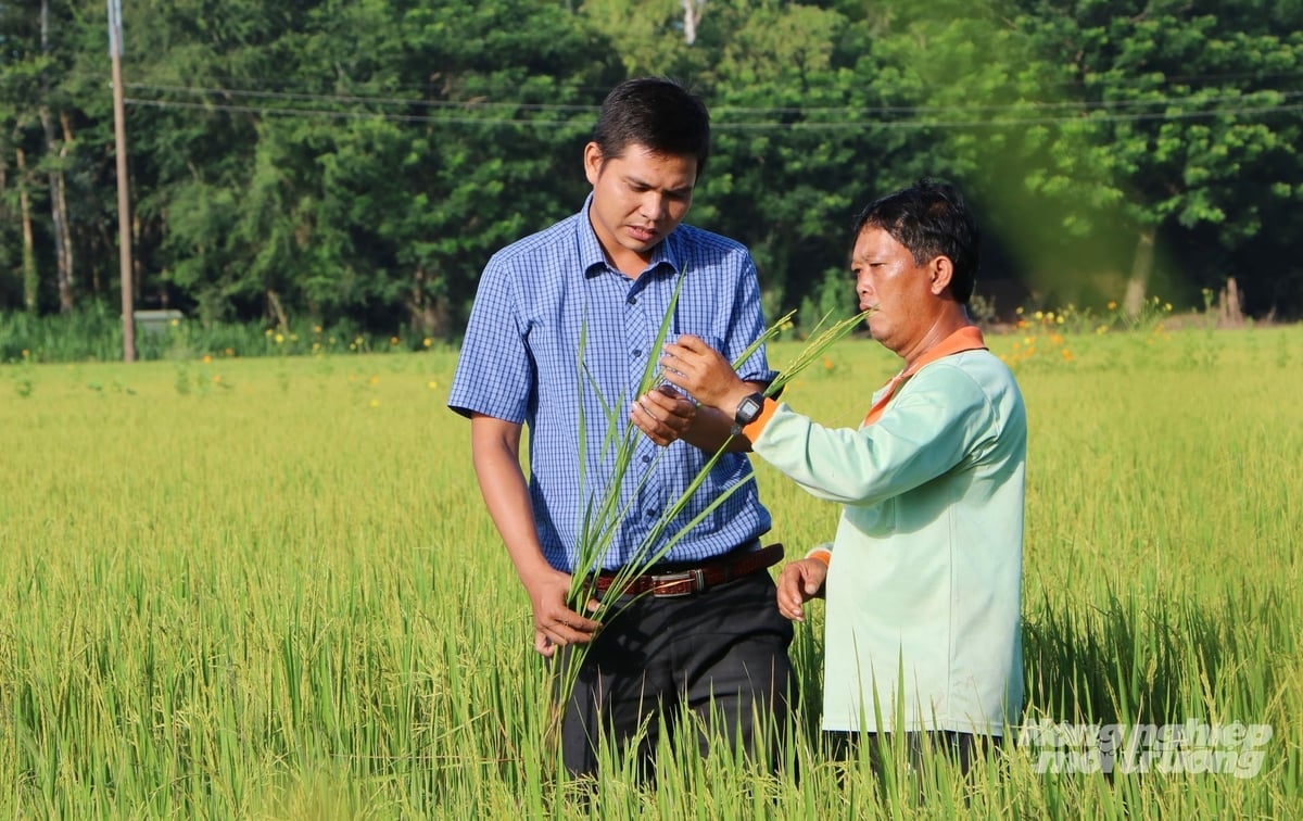 การเกษตรอินทรีย์ การเกษตรแบบหมุนเวียน และการลดการปล่อยก๊าซเรือนกระจก ไม่เพียงแต่เป็นกระแสระดับโลกเท่านั้น แต่ยังเป็นเส้นทางที่หลีกเลี่ยงไม่ได้สู่การฟื้นฟูผืนดินอีกด้วย ภาพ: เลอ ฮว่าง วู Nông nghiệp hữu cơ, nông nghiệp tuần hoàn, giảm phát thải không chỉ là xu thế toàn cầu mà là con đường tất yếu để đất hồi sinh. Ảnh: Lê Hoàng Vũ.