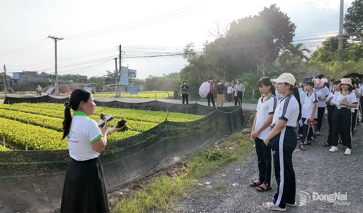 Students from Ly Tu Trong Secondary School (Trang Bom commune) gain practical experience at a local tree nursery as part of their Local Education - Literature subject. Photo: NTCC