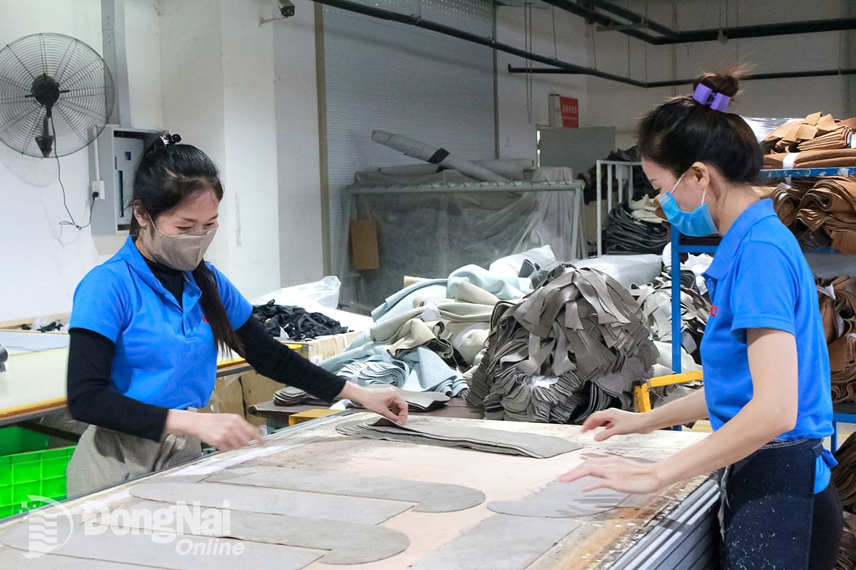 Production line at Changshin Vietnam Co., Ltd. (located in Tan Trieu ward, Dong Nai province).