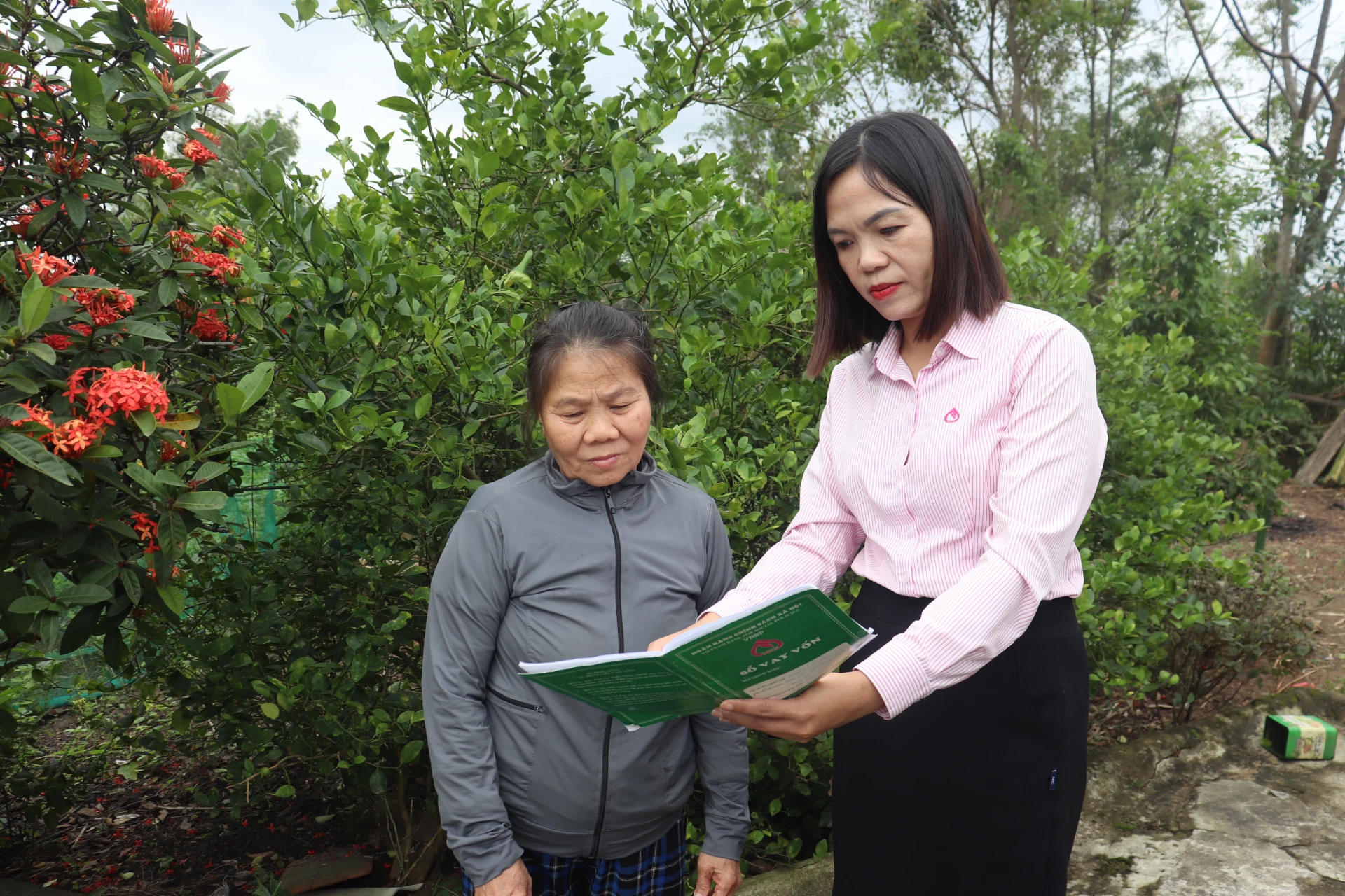 Tjänstemän från Gio Linh-filialen av Social Policy Bank vägleder Nguyen Thi Van om återbetalningsplanen för lånet som hjälpte hennes son att arbeta utomlands - Foto: N.P.