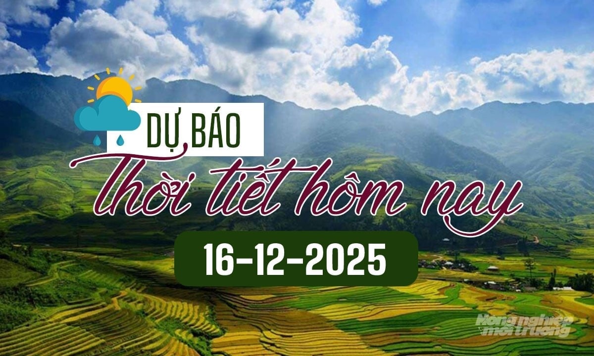 Tin tức thời tiết hôm nay 16/12/2025 trong cả nước