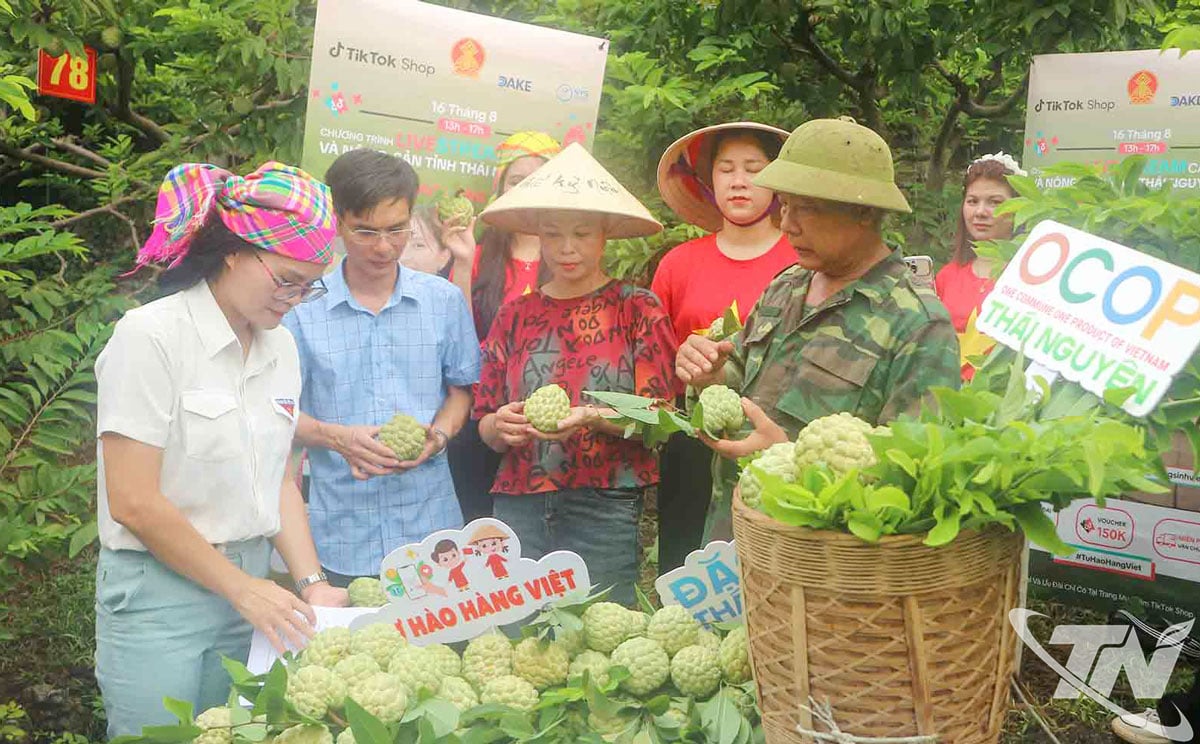 ក្នុងរយៈពេលកន្លងមកនេះ ខេត្តបានអនុវត្តសកម្មភាពជាច្រើន ដើម្បីគាំទ្រដល់ប្រជាជនក្នុងការផ្សព្វផ្សាយ និងលក់ផលិតផលកសិកម្មតាមអ៊ីនធឺណិត។