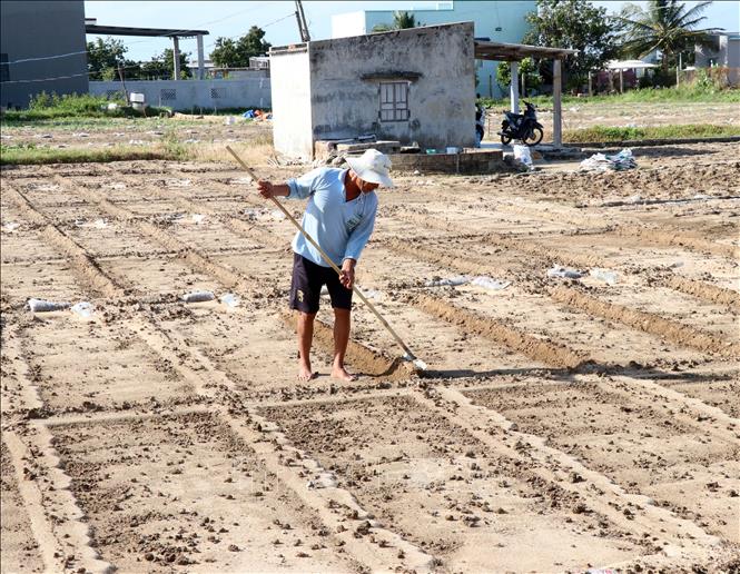 ចំណងជើងរូបថត