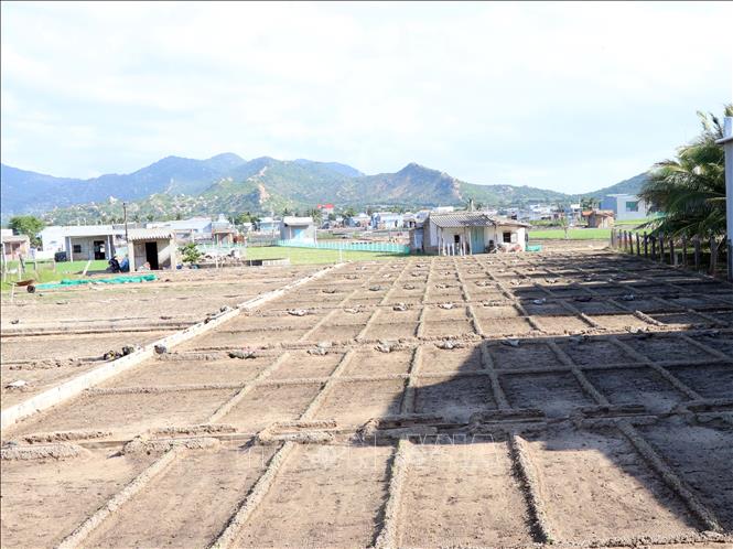 ចំណងជើងរូបថត