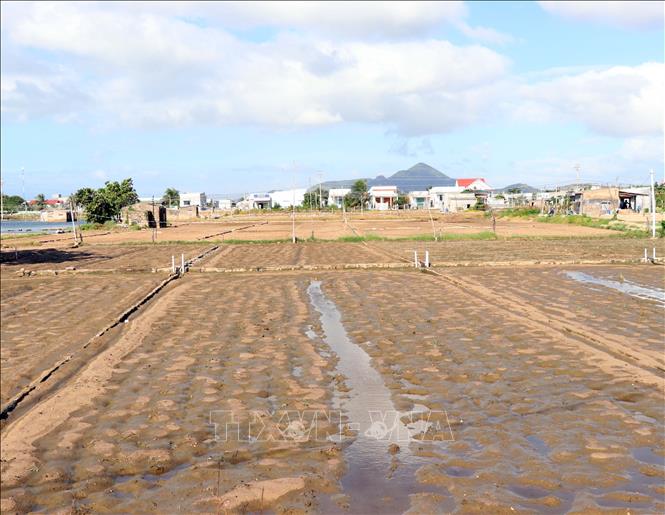 ចំណងជើងរូបថត