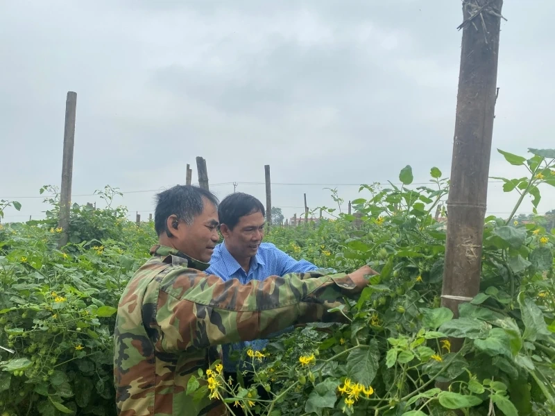 Ozimy 2025-2026: Mnoho slibných příležitostí a výzev (1. část): Krátkodobé ozimy přinášejí vysokou hodnotu.