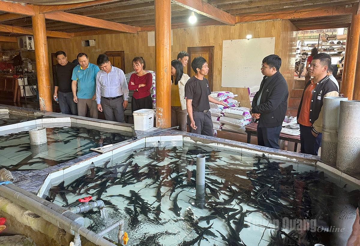 La délégation de la commune de Hong Thai a visité la zone d'élevage d'esturgeons de la commune de Nam Dich.