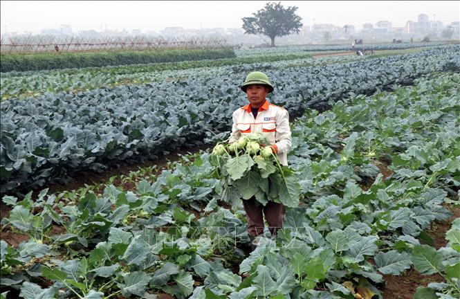 ចំណងជើងរូបថត