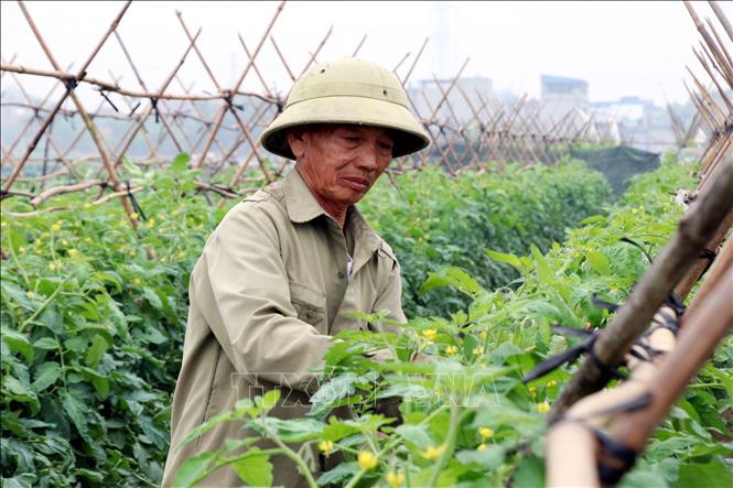 ចំណងជើងរូបថត