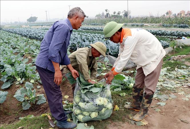 ចំណងជើងរូបថត