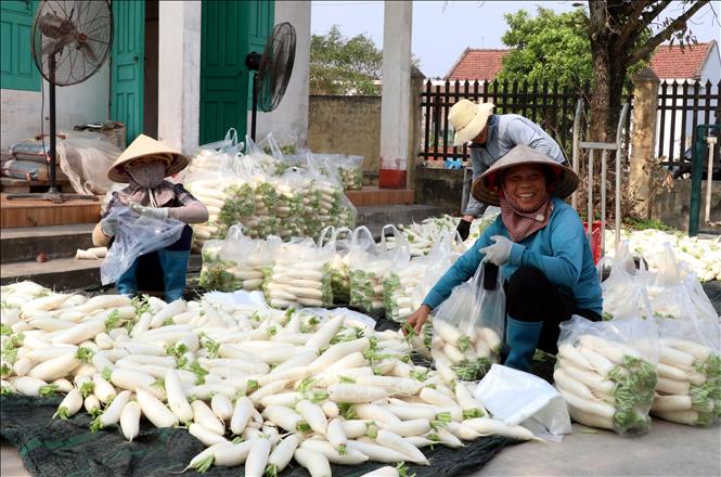 ចំណងជើងរូបថត