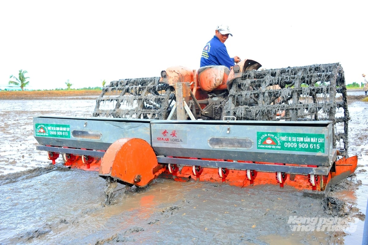 Mekong Deltası illerindeki çiftçiler, pirinç yaprak bitlerinden kaçınmak ve zararlılarla mücadeleyi kolaylaştırmak için 2025-2026 kış-ilkbahar pirinç hasadını eş zamanlı ve planlanan takvime uygun olarak ekiyorlar. Fotoğraf: Le Hoang Vu. Nông dân các tỉnh ĐBSCL xuống giống lúa đông xuân 2025–2026 tập trung, đồng loạt theo lịch để né rầy, tạo điều kiện kiểm soát dịch hại. Ảnh: Lê Hoàng Vũ.