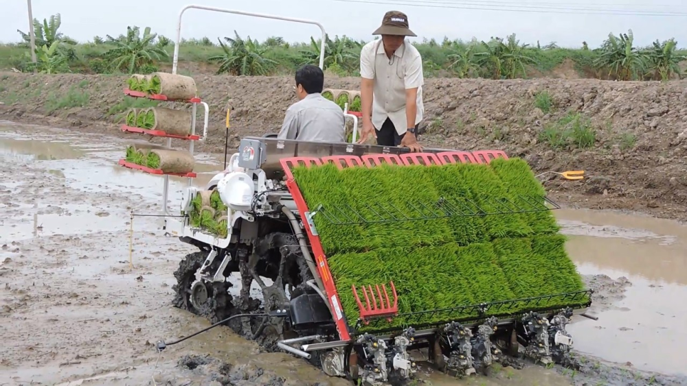 Green and sustainable development - The foundation for creating a competitive advantage in attracting investment.