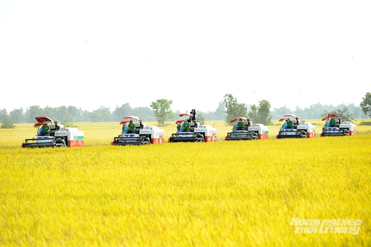 A talajelőkészítéstől és a vetéstől a betakarításig terjedő szinkronizált gépesítés segíti az An Giang-i gazdákat a termelési költségek csökkentésében, a hatékonyság javításában és az üvegházhatású gázok kibocsátásának mérséklésében. Fotó: Le Hoang Vu. Cơ giới hóa đồng bộ từ làm đất, gieo sạ đến thu hoạch giúp nông dân An Giang giảm chi phí sản xuất, nâng cao hiệu quả và giảm phát thải khí nhà kính. Ảnh: Lê Hoàng Vũ.