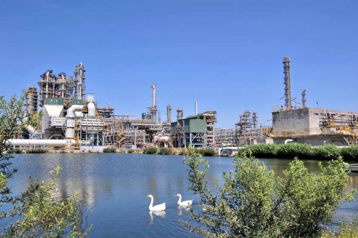 នៅឆ្នាំ ២០២៥ ទោះបីជាប្រឈមមុខនឹងការលំបាកជាច្រើនក៏ដោយ BSR បានបញ្ចប់ភារកិច្ចផលិតកម្ម និងអាជីវកម្មរបស់ខ្លួនដោយជោគជ័យ។ រូបថត៖ BSR។