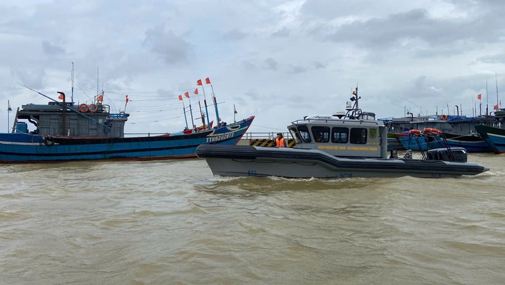 TÀU CÁ - Ảnh 1.