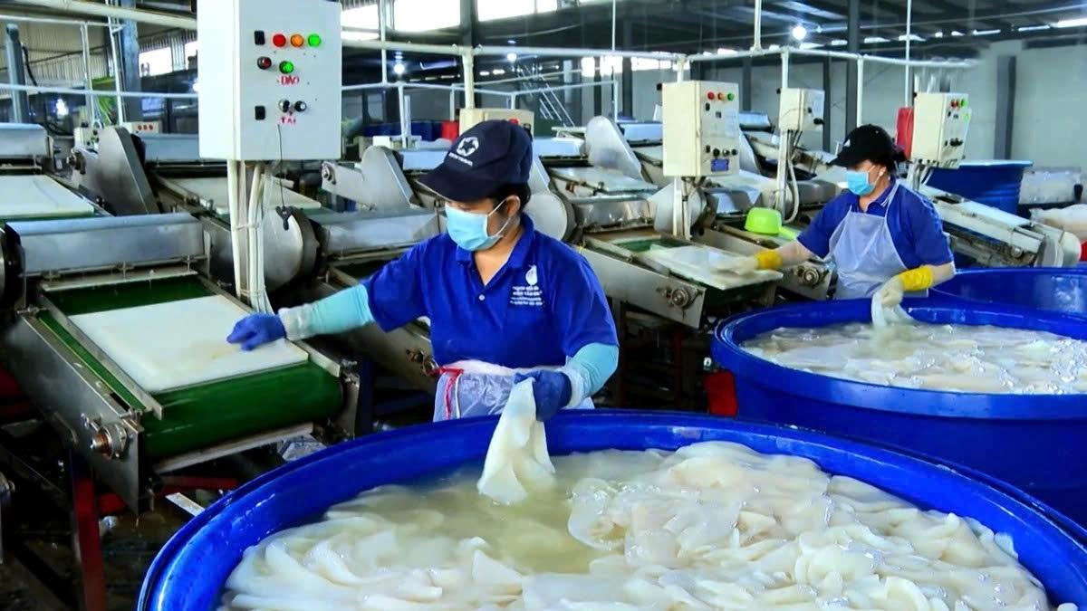 7 ມະຕິຍຸດທະສາດ: ການນຳໃຊ້ປະໂຫຍດຈາກການພັດທະນາ ແລະ ການເຕີບໂຕແບບຍືນຍົງຂອງຫວຽດນາມ (ຮູບທີ 3) 7 nghi quyet chien luoc Don bay phat trien va tang truong ben vung cua viet nam hinh anh 3