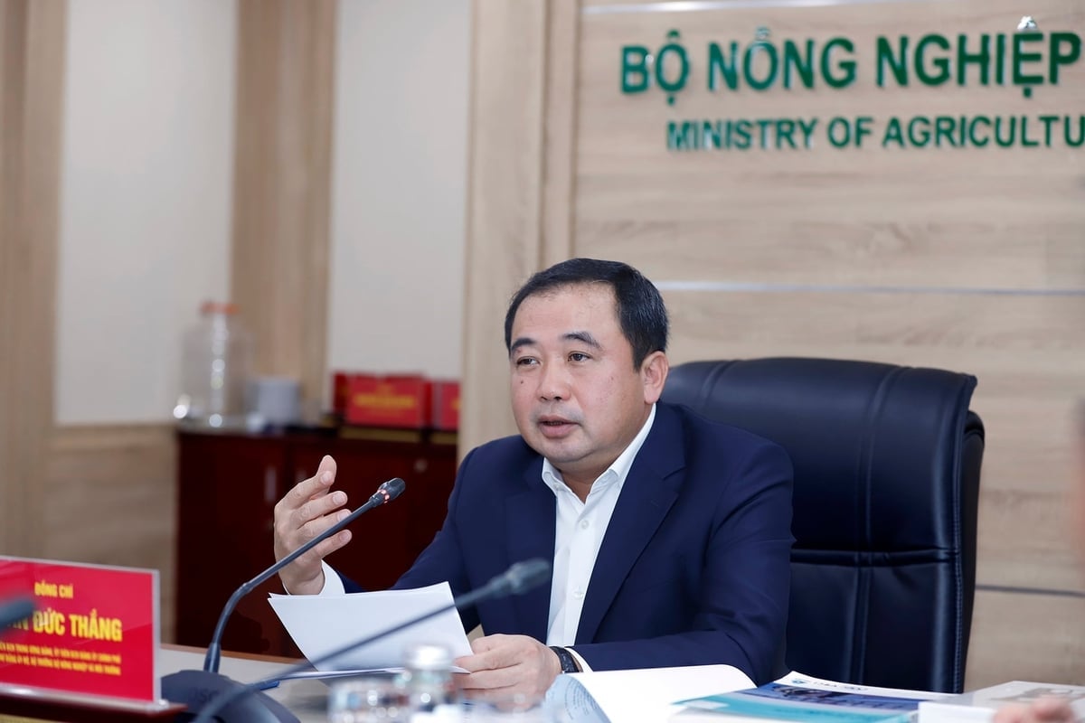 Bộ trưởng Trần Đức Thắng làm việc với Hiệp hội Nuôi biển Việt Nam, tập trung bàn thảo một vấn đề cốt lõi. Ảnh: Khương Trung.