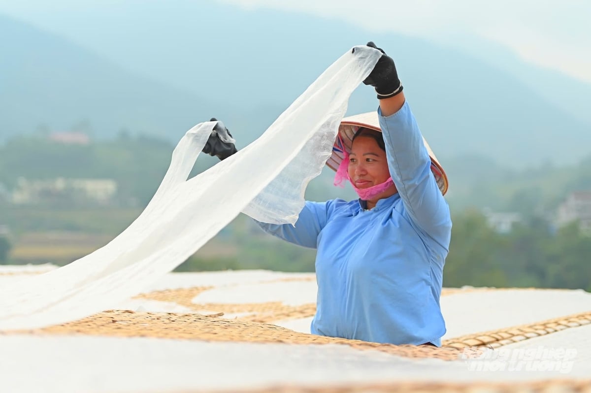 សម្ងួតមីអង្ករក្រោមពន្លឺថ្ងៃ។ រូបថត៖ គឿង វូ។