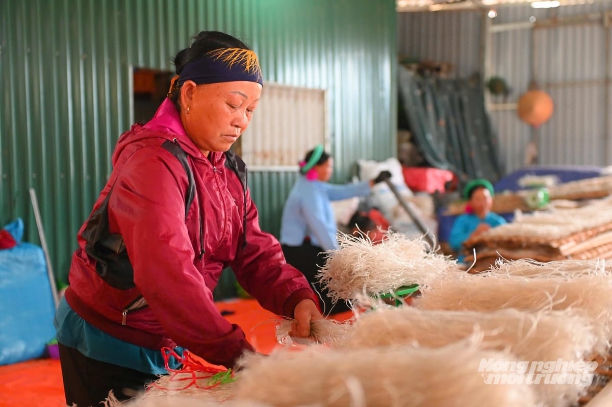 មីបិញលៀវមានសភាពរដុប និងក្រាស់បន្តិច ប៉ុន្តែមានវាយនភាពស្អិត ស្រួយ និងរសជាតិផ្អែមដូចគ្រាប់ ដែលបានមកពីមើមដំឡូងមីចាស់ទុំ ដែលស្រូបយកសារធាតុដី និងអាកាសធាតុនៃតំបន់ព្រំដែននេះ។ រូបថត៖ កឿងវូ។