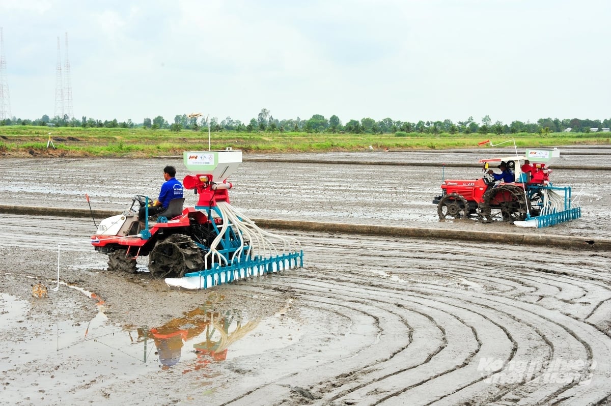 Applying cluster seeding machines helps reduce seed quantity, ensure uniform rice plant density, save input costs, and improve production efficiency in high-quality rice farming models in An Giang. Photo: Le Hoang Vu. Áp dụng máy sạ cụm giúp giảm lượng giống, đồng đều mật độ cây lúa, tiết kiệm chi phí đầu vào và nâng cao hiệu quả sản xuất trong các mô hình lúa chất lượng cao tại An Giang. Ảnh: Lê Hoàng Vũ.