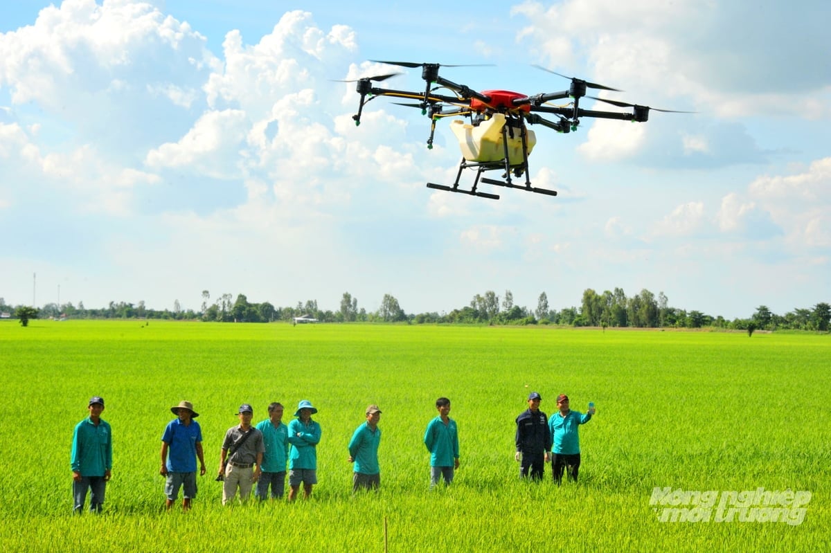 Drones are used for spraying pesticides and fertilizers in rice fields, contributing to reduced manual labor, limited exposure to chemicals, and improved efficiency in high-quality rice cultivation. Photo: Le Hoang Vu. Thiết bị bay không người lái (drone) được sử dụng để phun thuốc, bón phân trên đồng ruộng, góp phần giảm lao động thủ công, hạn chế tiếp xúc hóa chất và nâng cao hiệu quả canh tác lúa chất lượng cao. Ảnh: Lê Hoàng Vũ.