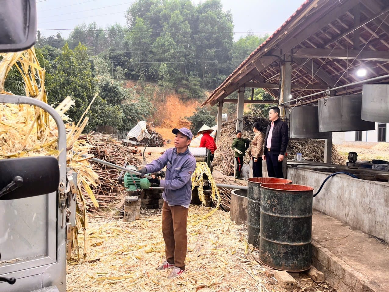 กากอ้อยใน Tan Huong, Tan Ky