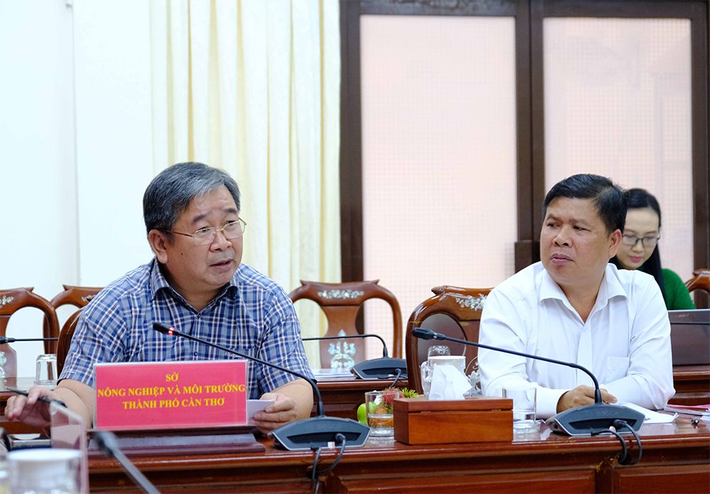 ទីក្រុងកឹនថើកំពុងខិតខំប្រឹងប្រែងជាបន្ទាន់ដើម្បីបញ្ចប់សំណុំលក្ខណៈវិនិច្ឆ័យសម្រាប់ឃុំជនបទថ្មីក្នុងរយៈពេល ២០២៦-២០៣០។