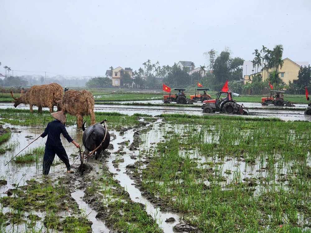 ទស្សនាទីក្រុងហួយអាន ចូលរួមក្នុងពិធីបុណ្យដាំស្រូវឆ្នាំថ្មី - រូបថតទី៤