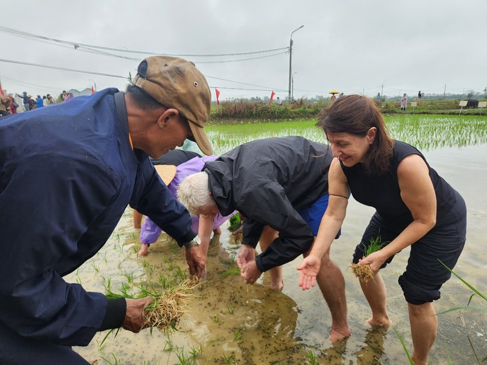 ទស្សនាទីក្រុងហូយអាន ចូលរួមក្នុងពិធីបុណ្យដាំស្រូវឆ្នាំថ្មី - រូបថតទី ៧