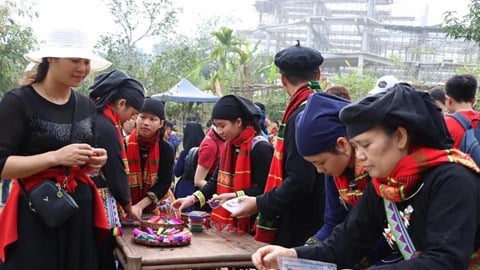 ភាពទាក់ទាញនៃពិធីបុណ្យដាំស្រូវ