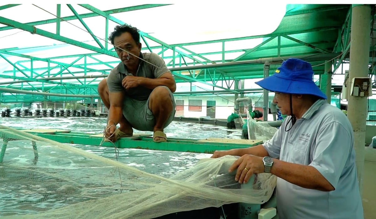 ស្រះចិញ្ចឹមបង្គាដែលប្រើប្រាស់ប្រព័ន្ធប្រព្រឹត្តកម្មទឹកវិលជុំ ជួយគ្រប់គ្រងបរិស្ថានកសិកម្ម និងកាត់បន្ថយការផ្ទុះឡើងនៃជំងឺ។ រូបថត៖ ទឿង ទូ។ Một ao nuôi tôm ứng dụng xử lý nước tuần hoàn, giúp kiểm soát môi trường nuôi và hạn chế dịch bệnh. Ảnh: Tường Tú.