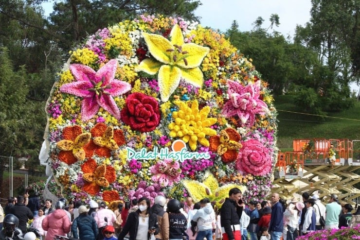 អ្នកទេសចរ និងអ្នកស្រុកមកមើលភួងផ្កាដែលទើបតែបង្កើតកំណត់ត្រាថ្មីនៅទីក្រុងដាឡាត។