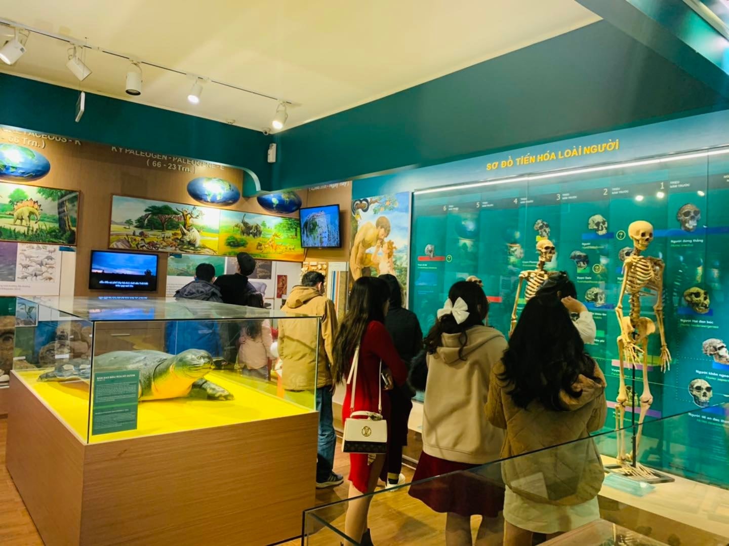 សារមន្ទីរប្រវត្តិសាស្ត្រធម្មជាតិវៀតណាម