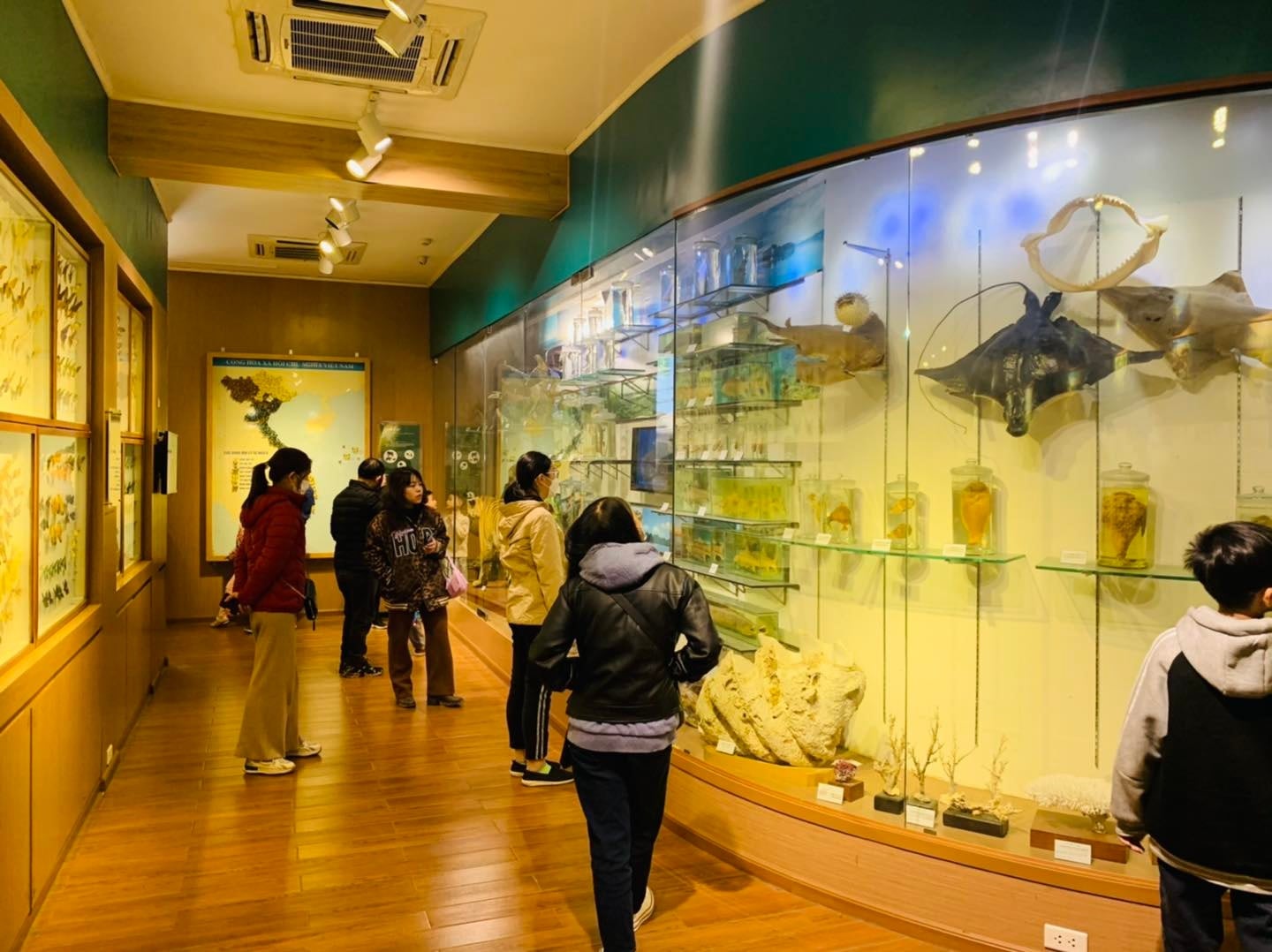 សារមន្ទីរប្រវត្តិសាស្ត្រធម្មជាតិវៀតណាម