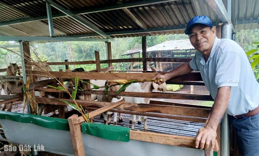 លោក អ៊ី ហ៊ីវ អឺនូល ប្រធានភូមិឡាង មិនត្រឹមតែផ្តោតលើការពង្រឹងខ្លួនឯងប៉ុណ្ណោះទេ ថែមទាំងបង្ហាញពីស្មារតីនៃការចែករំលែក និងណែនាំអ្នកភូមិដទៃទៀតឲ្យធ្វើអាជីវកម្មជាមួយគ្នាផងដែរ។