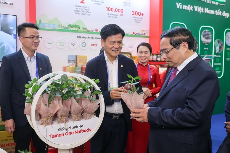 នាយករដ្ឋមន្ត្រី៖ វៀតណាមកំណត់ស្ថិរភាពថាជាបន្ទាយដ៏រឹងមាំមួយ; ការអភិវឌ្ឍយ៉ាងឆាប់រហ័ស និងប្រកបដោយចីរភាពជាម៉ាស៊ីនដ៏អស់កល្បជានិច្ច - រូបថតទី ២។ Thủ tướng: Việt Nam xác định ổn định là pháo đài bất khả xâm phạm; phát triển nhanh, bền vững là động cơ vĩnh cửu- Ảnh 2.