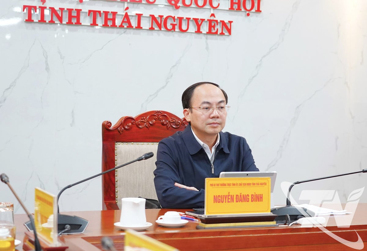 សមមិត្ត ង្វៀន ដាំងប៊ិញ អនុលេខាអចិន្ត្រៃយ៍នៃគណៈកម្មាធិការបក្សខេត្ត និងជាប្រធានក្រុមប្រឹក្សាប្រជាជនខេត្ត បានចូលរួមសន្និសីទនៅសាខាខេត្តថាយង្វៀន។