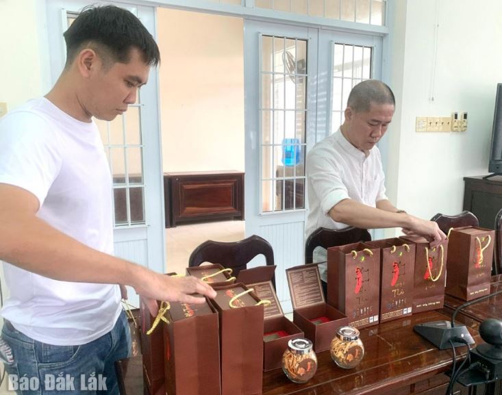 Členové projektu představují lyofilizované produkty z cordycepsu. Foto: Dak Lak Newspaper. Thành viên dự án giới thiệu sản phẩm đông trùng sấy thăng hoa. Ảnh: Báo Đắk Lắk.